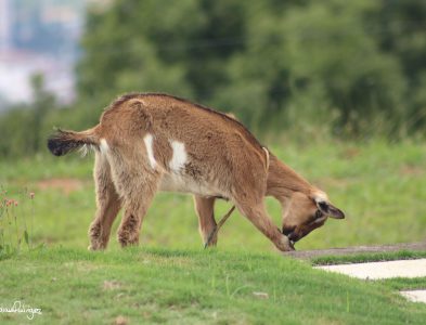 En Acción By Julián Rodríguez